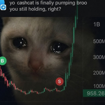 Cash Cat chart meme