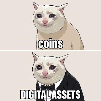 Cash Cat coin meme