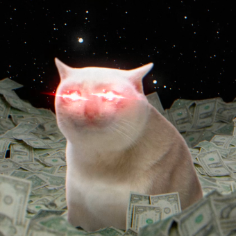 Cash Cat eyes meme