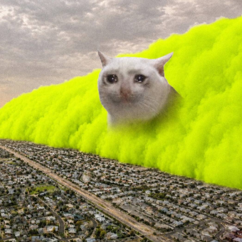 Cash Cat green meme