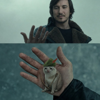 Cash Cat in palm meme