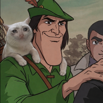 Cash Cat cartoon meme