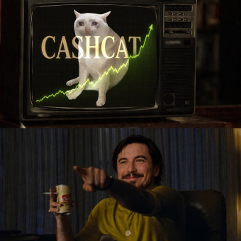 Cash Cat TV meme