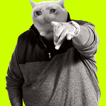 Fat Cash Cat meme