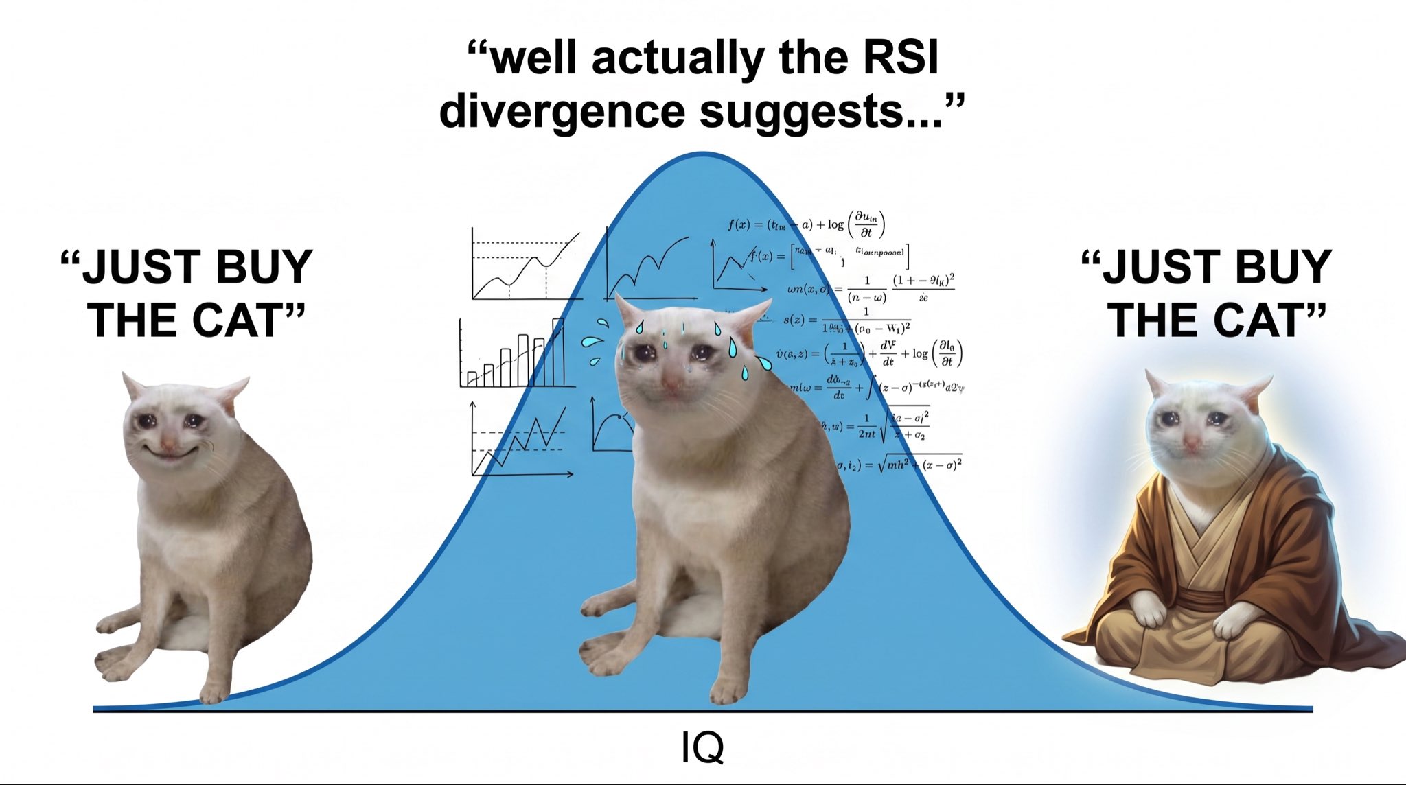 Cash Cat RSI meme