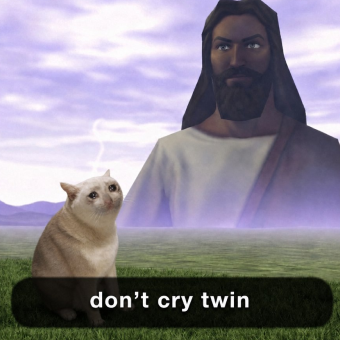 Twin Cash Cat meme